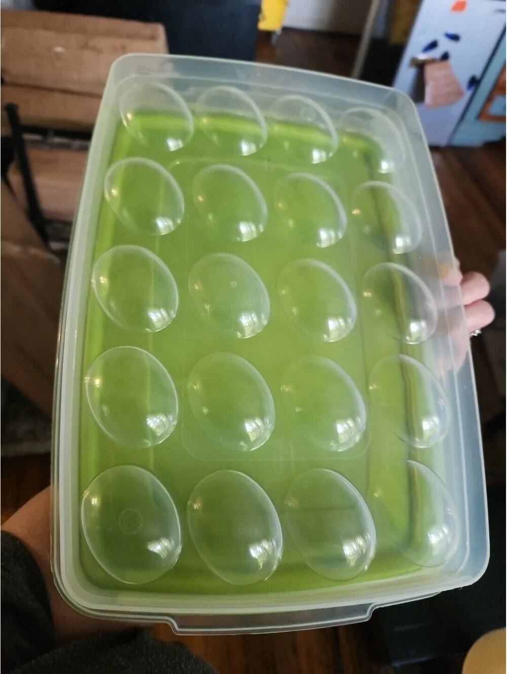 Rubbermaid Servin Saver 20 Egg Keeper Carrier Green!